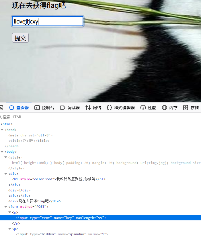 image-20241229223253795