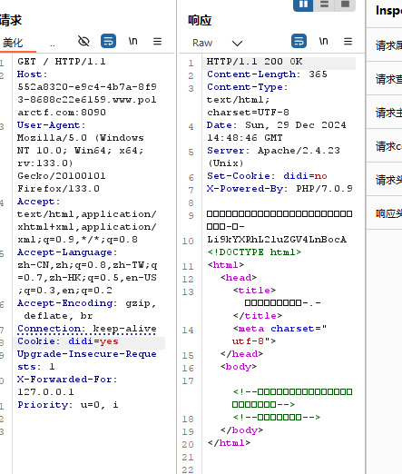 image-20241229224856142