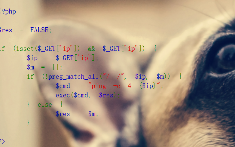 image-20241230222552807