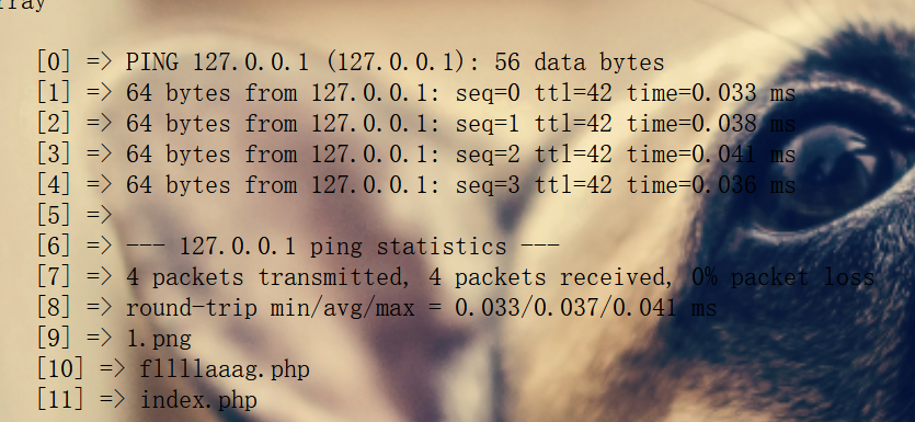 image-20241230223355494