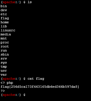 image-20250105220143205